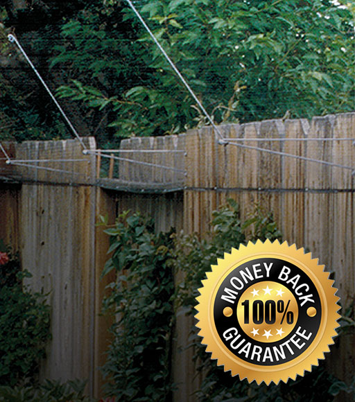 cat fencing