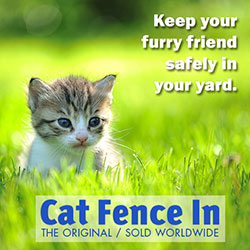 cat fencing